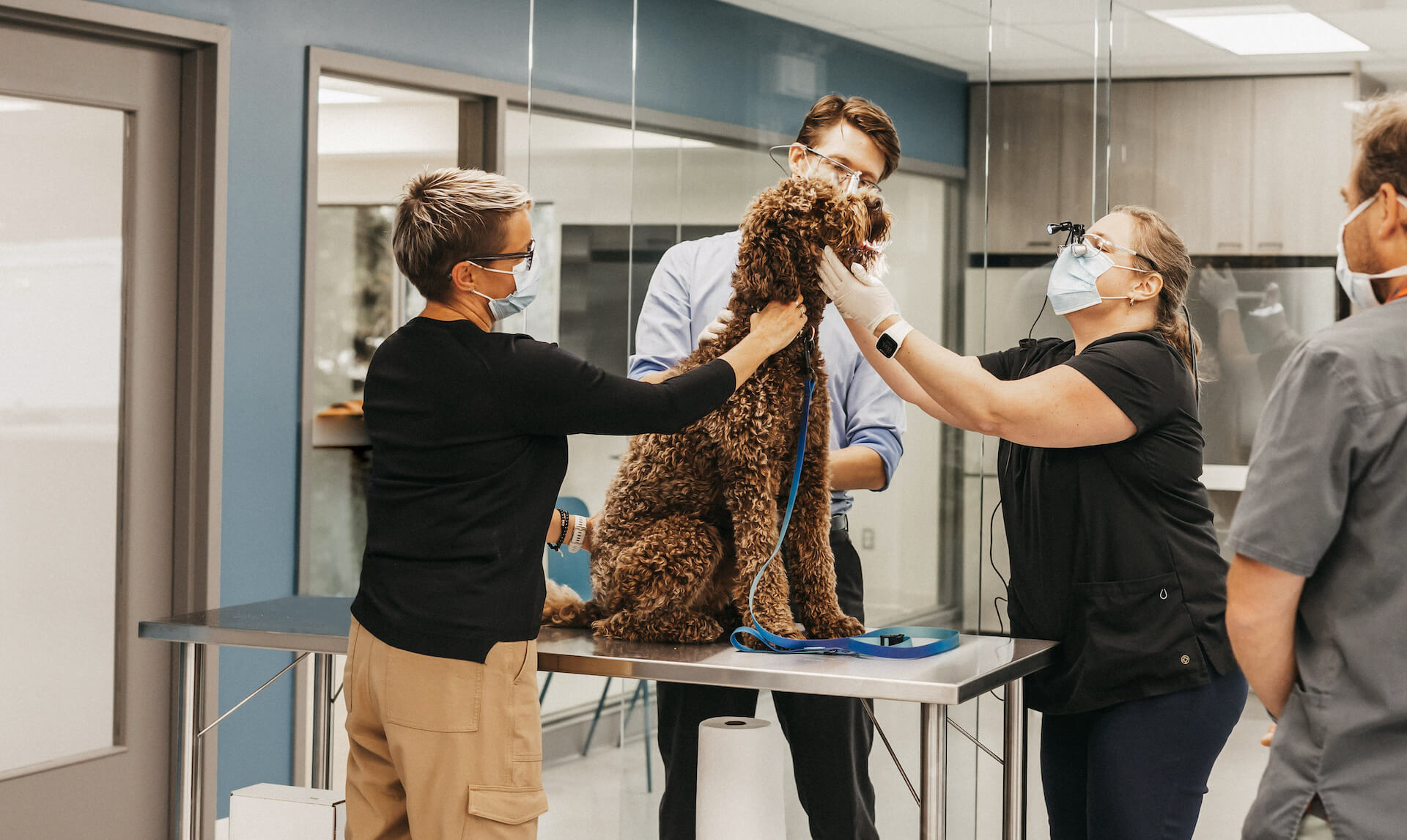 Group of people petting dog